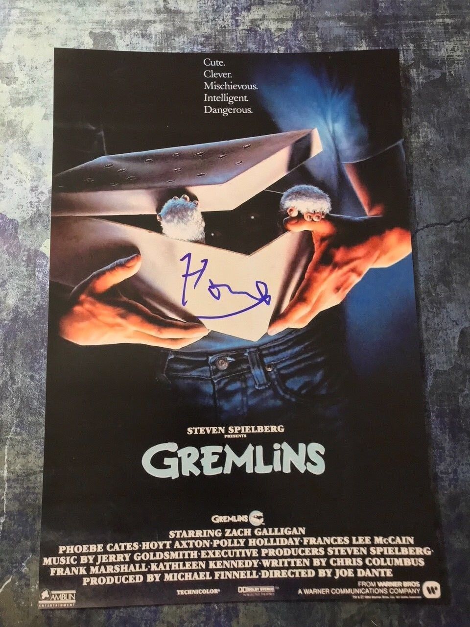 GFA Gremlins Gizmo * HOWIE MANDEL * Signed Autographed 12x18 Photo Poster painting PROOF AD2 COA