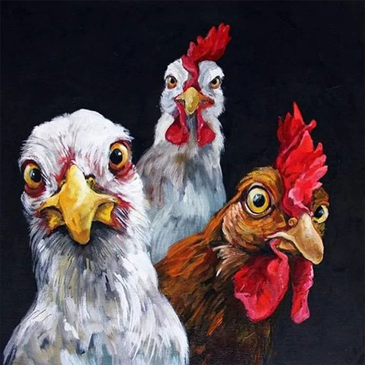 Chicken Head - Paint By Numbers(40*40cm)