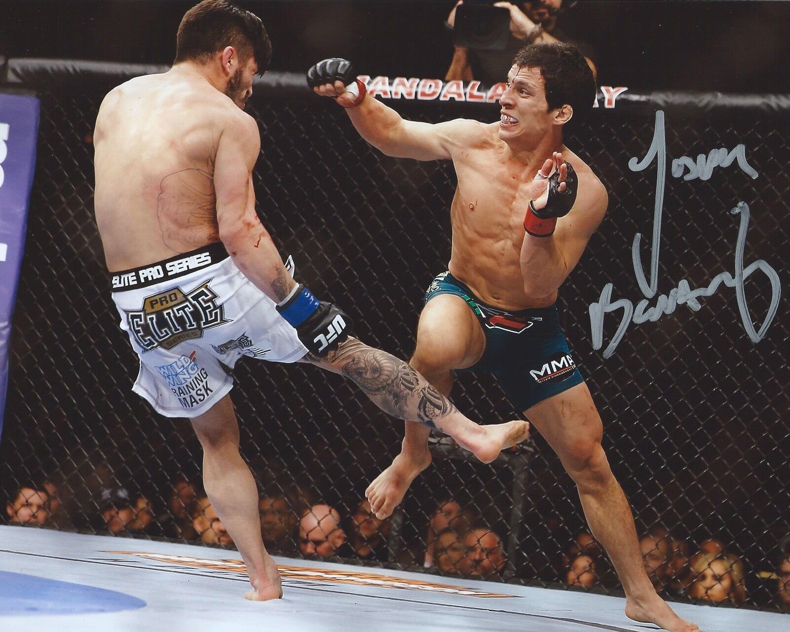 Joseph Benavidez Signed 8×10 Photo Poster painting UFC MMA Autographed COA