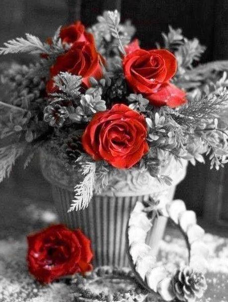 

Vase of Red Flower on Black – Paint By Numbers - 40*50CM, 501 Original