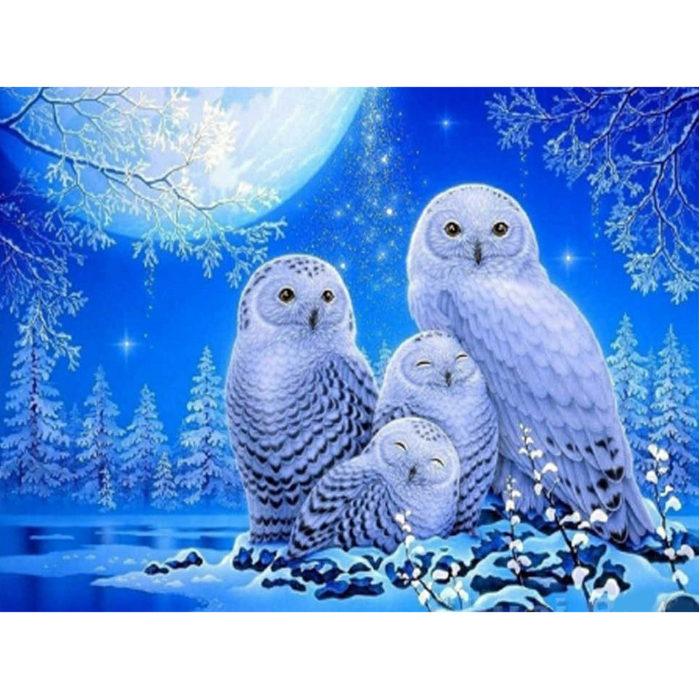 

White Owl In The Night - Round Drill Diamond Painting - 40*30CM, 501 Original