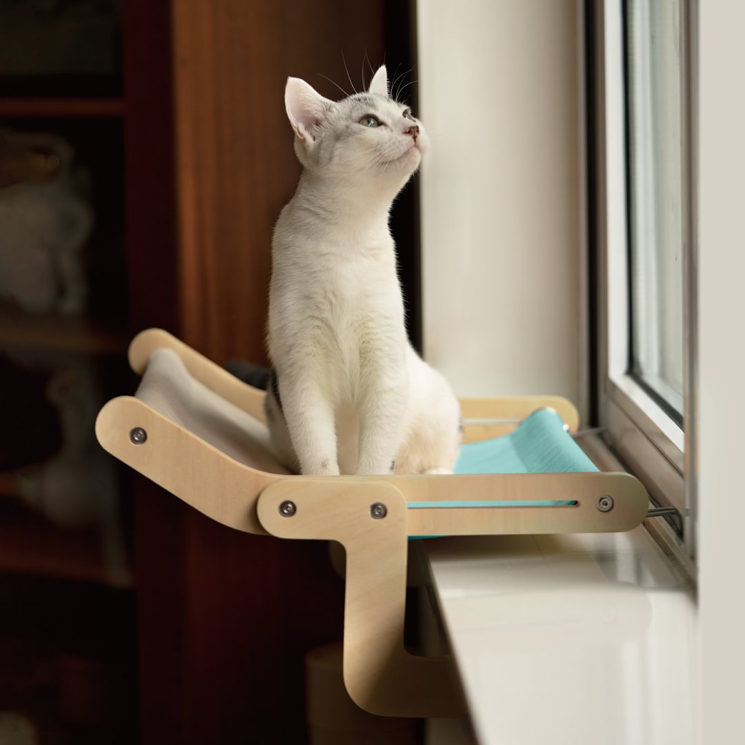 Cat Window Perch Cat Hammock Wooden Hanging Bed MewooFun