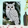 (30x40cm)DIY Pearl Painting Framed Owl  Handmade Pearl Material Art Kit Living Room Decor