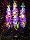 4Pcs Outdoor Solar Garden Lights Waterproof Led Violet Flower Shape Stake Light Reusable Violet Gardening Stake Lighting for Courtyard Landscape Lawn Light