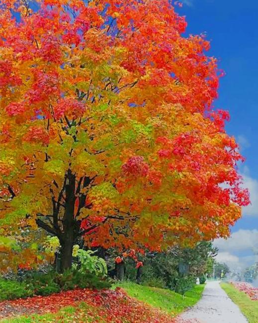 

Autumn Scenery – Paint By Numbers - 40*50CM, 501 Original