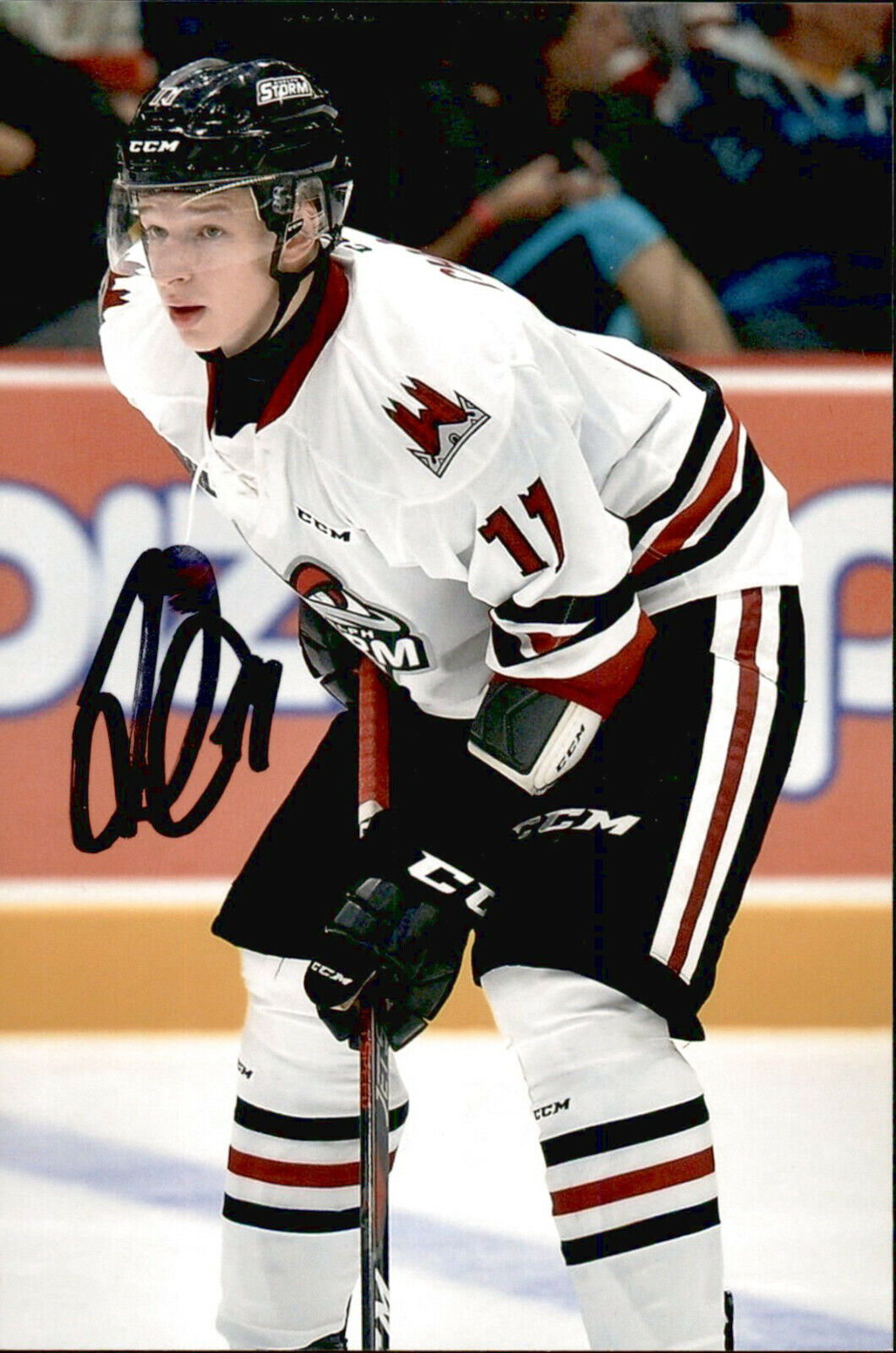 Daniil Chayka SIGNED autographed 4x6 Photo Poster painting GUELPH STORM /VEGAS GOLDEN KNIGHTS 3