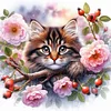 Framed Diamond Painting - Full Round Drill - Cats and Flowers (25x25cm)