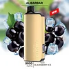  ALIBARBAR RICH – 9000 PUFFS