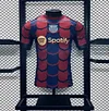 2024/2025 Player Version Barcelona Special Edition 1:1 Thai Quality
