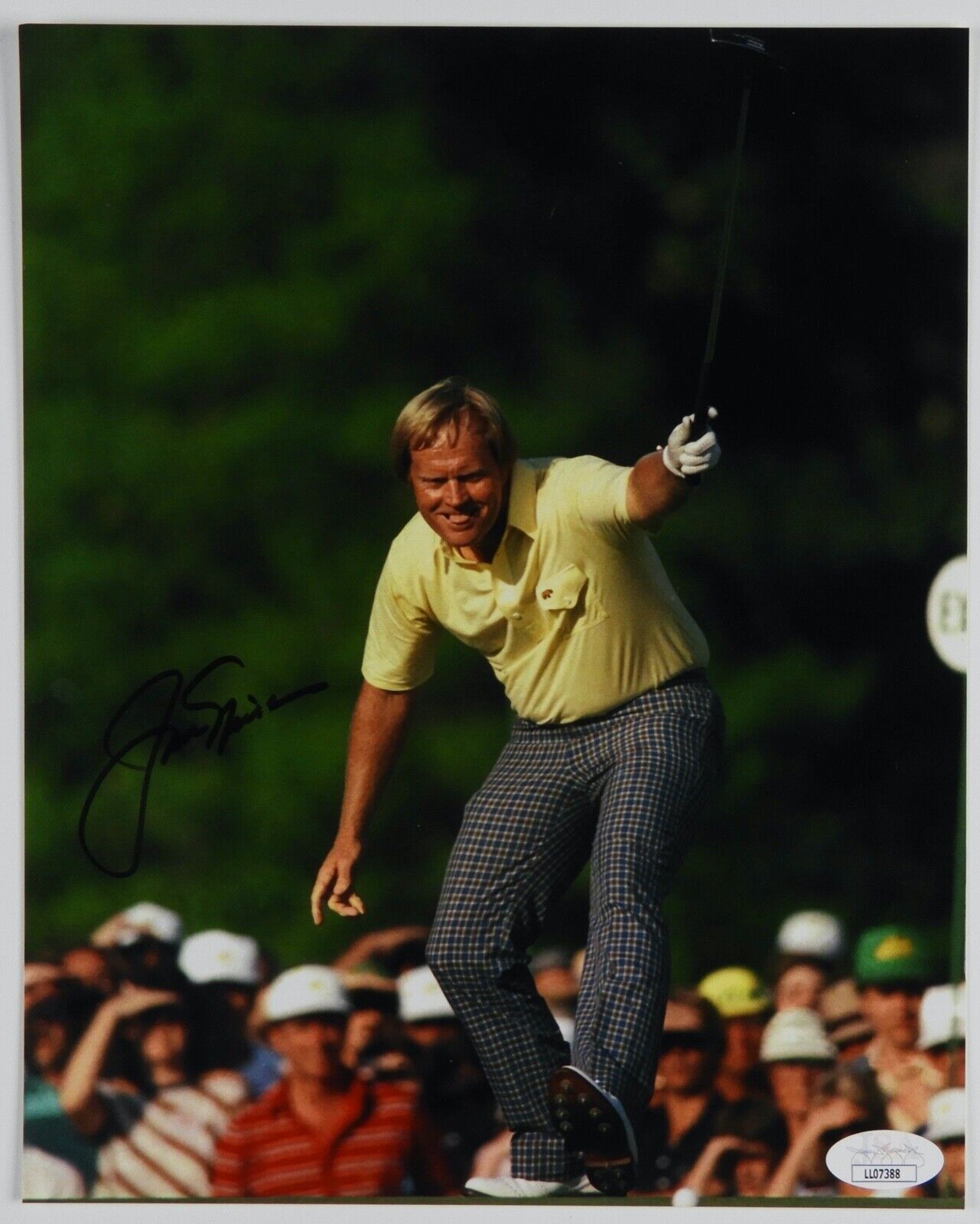 Jack Nicklaus JSA Autograph Signed 8 x 10 The Golden Bear Legendary Golfer