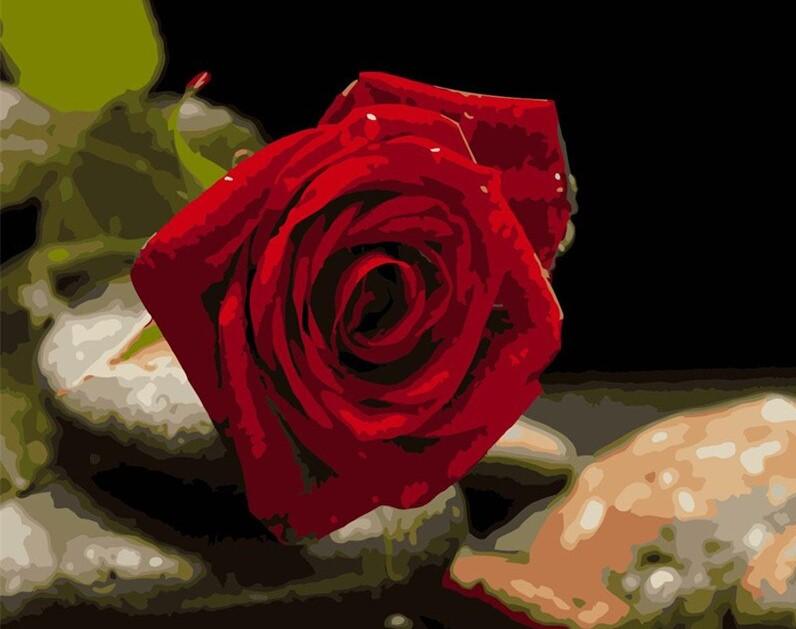 

Red Flower – Paint By Numbers - 40*50CM, 501 Original