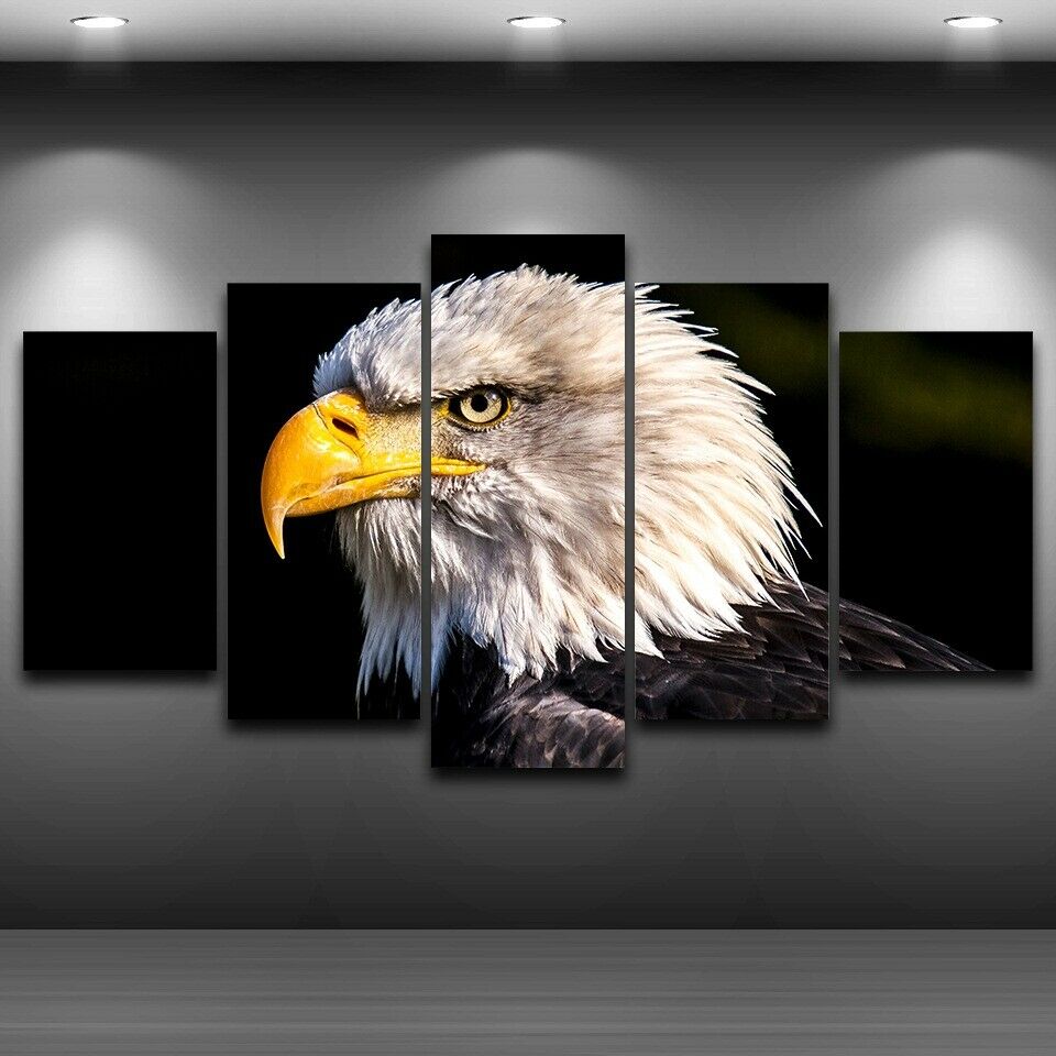 5 Pieces Bald Eagle Wildlife Animal 5 Pcs Canvas Pictures Print Wall Art Canvas Paintings Wall Decor for Living Room No Framed