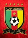 2025/2026 Player Version Cameroon  away Football Shirt 1:1 Thai Quality love fball