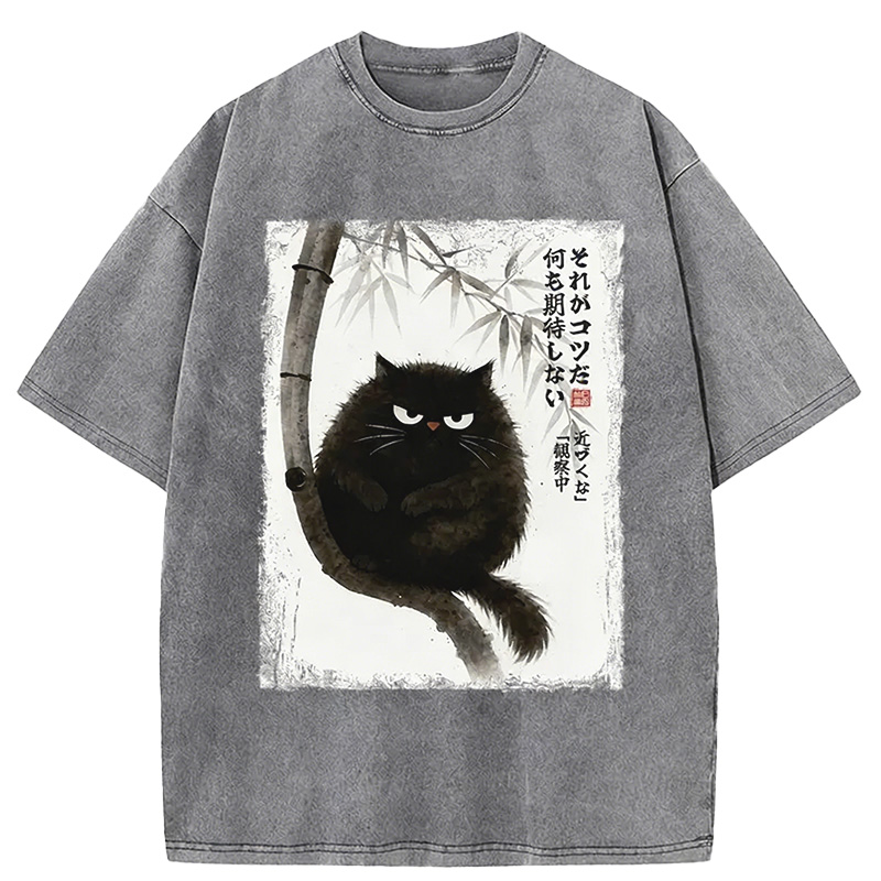 Funny Silent Observer: The Cat's Gaze Washed T-shirt artswardrobe