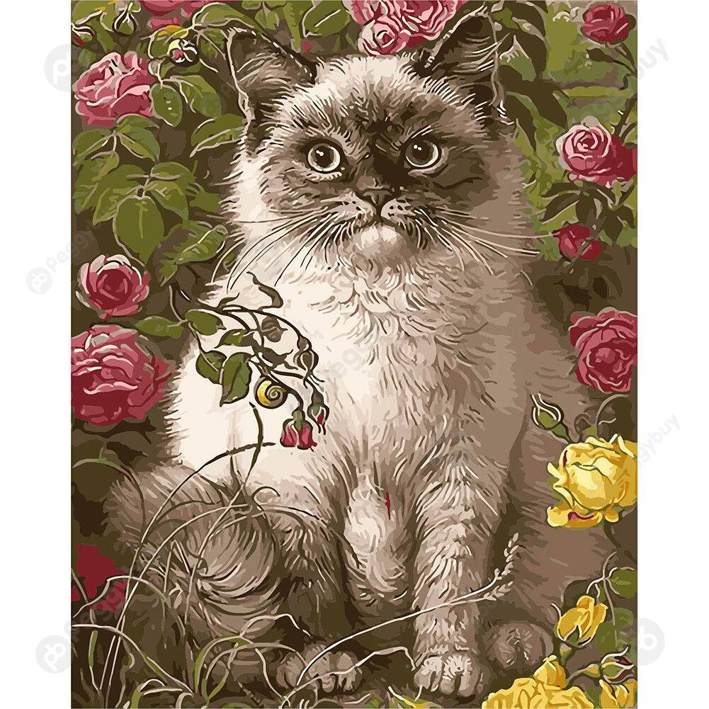 

40*50CM Paint By Numbers-Cat, 501 Original