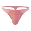 Sheer Mesh G String Thong Men's Erotic Panties Sexy Patent Leather Thong