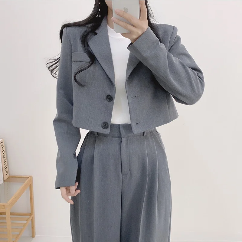 Toloer Toloer Chic Spring French Lapel Two Button Small Suit Jacket High Waist Straight Tube Casual Trousers Trousers Women-Outfit Ideas