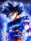 Ultra Instinct Son Goku Decorative Painting - Dragon Ball - Xingkong Studio