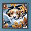 Snow Puppy-Full Round Diamond Painting 30*30CM