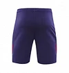 2025 England Purple  Short-Sleeve Training Kit