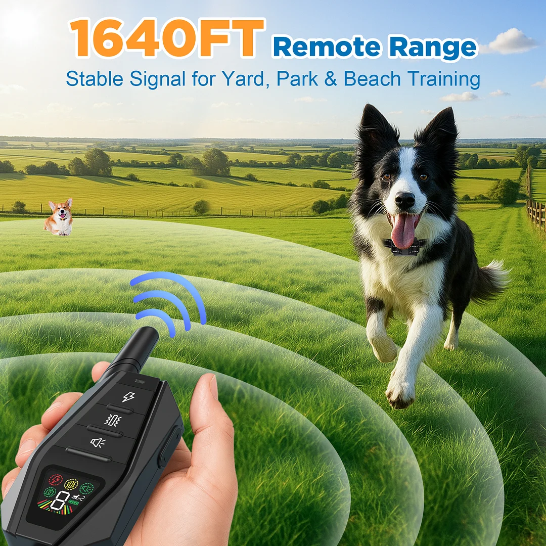 Dog Training Collar for 2 Dogs with Remote, 1640FT Range IP67-Rated, Beep Vibration Safe Shock Modes, Safety Lock, Adjustable Reflective Nylon Collars, Rechargeable