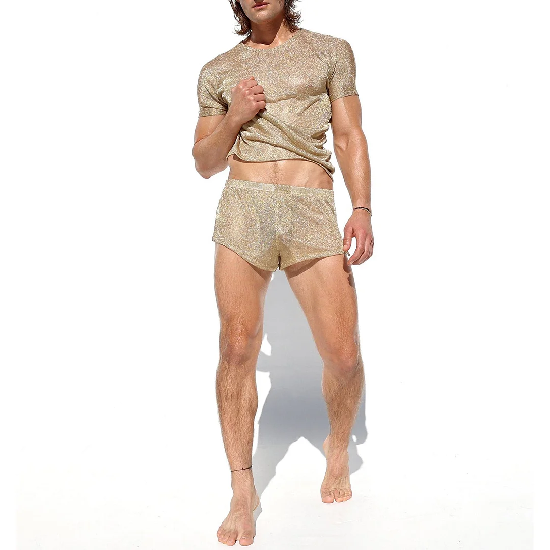 Men's Shiny Vertical Striped Loose Sexy Shorts-inspireuse