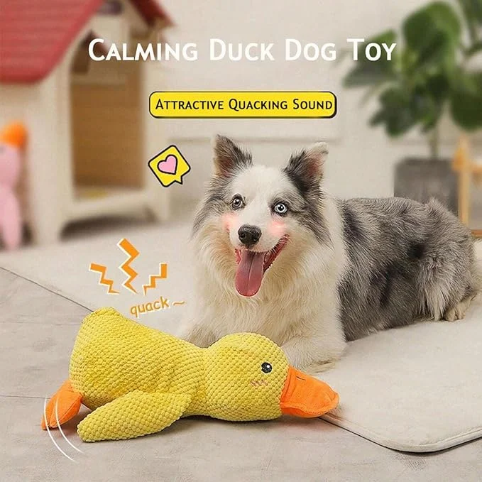 🎁Calming Duck Toy - Today's 50% off🚀