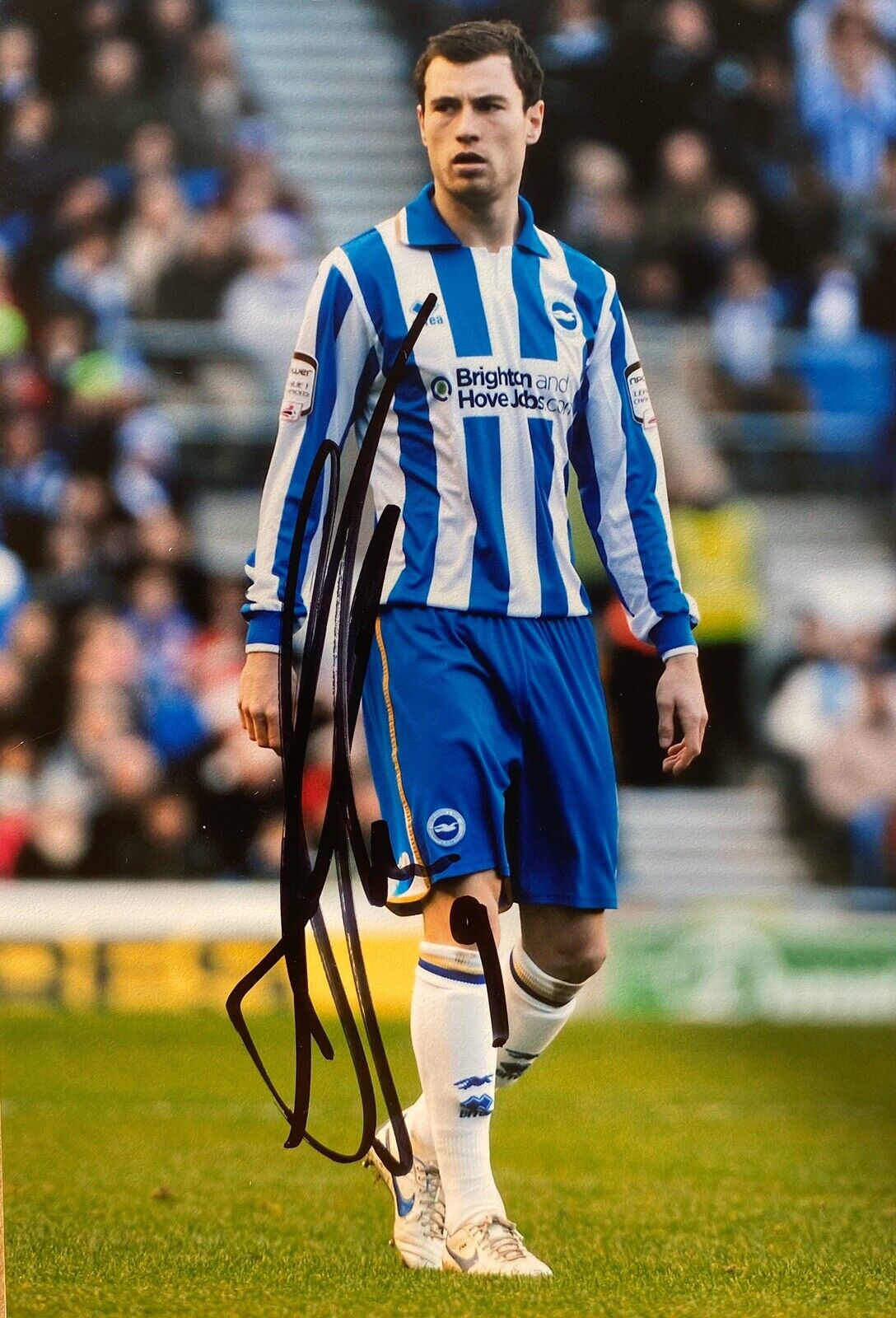 Ashley Barnes Hand Signed 6X4 Photo Poster painting - Brighton & Hove Albion