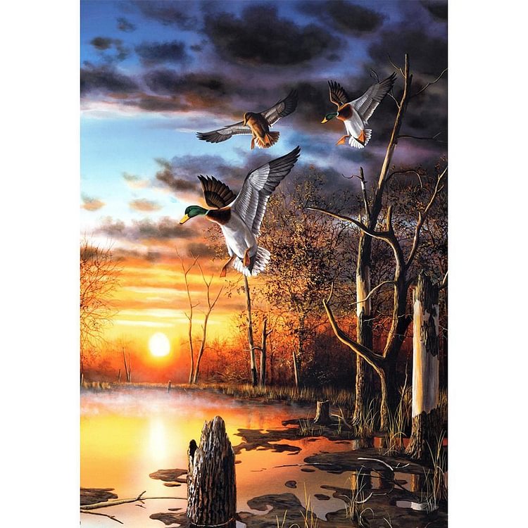 Peinture de diamant - Full Round - Canard sauvage