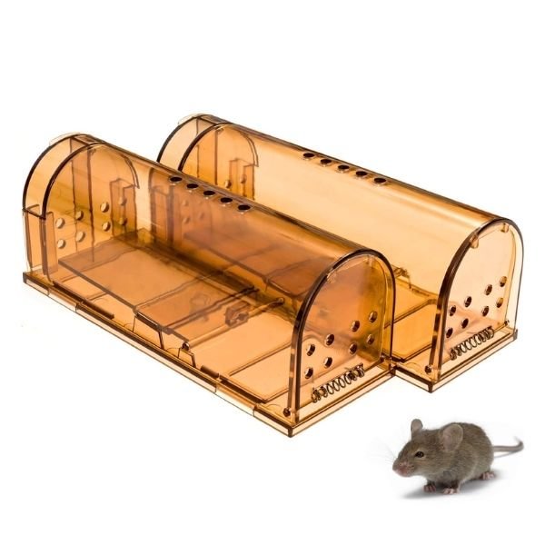 Humane Mouse Traps No Kill for mice