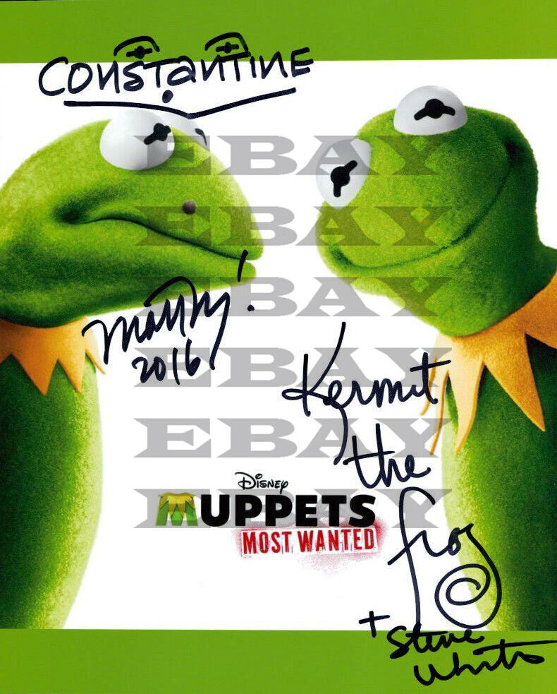 The Muppets (Steve Whitmore & Matt Vogel) Autographed Signed 8x10 Photo Poster painting Rep