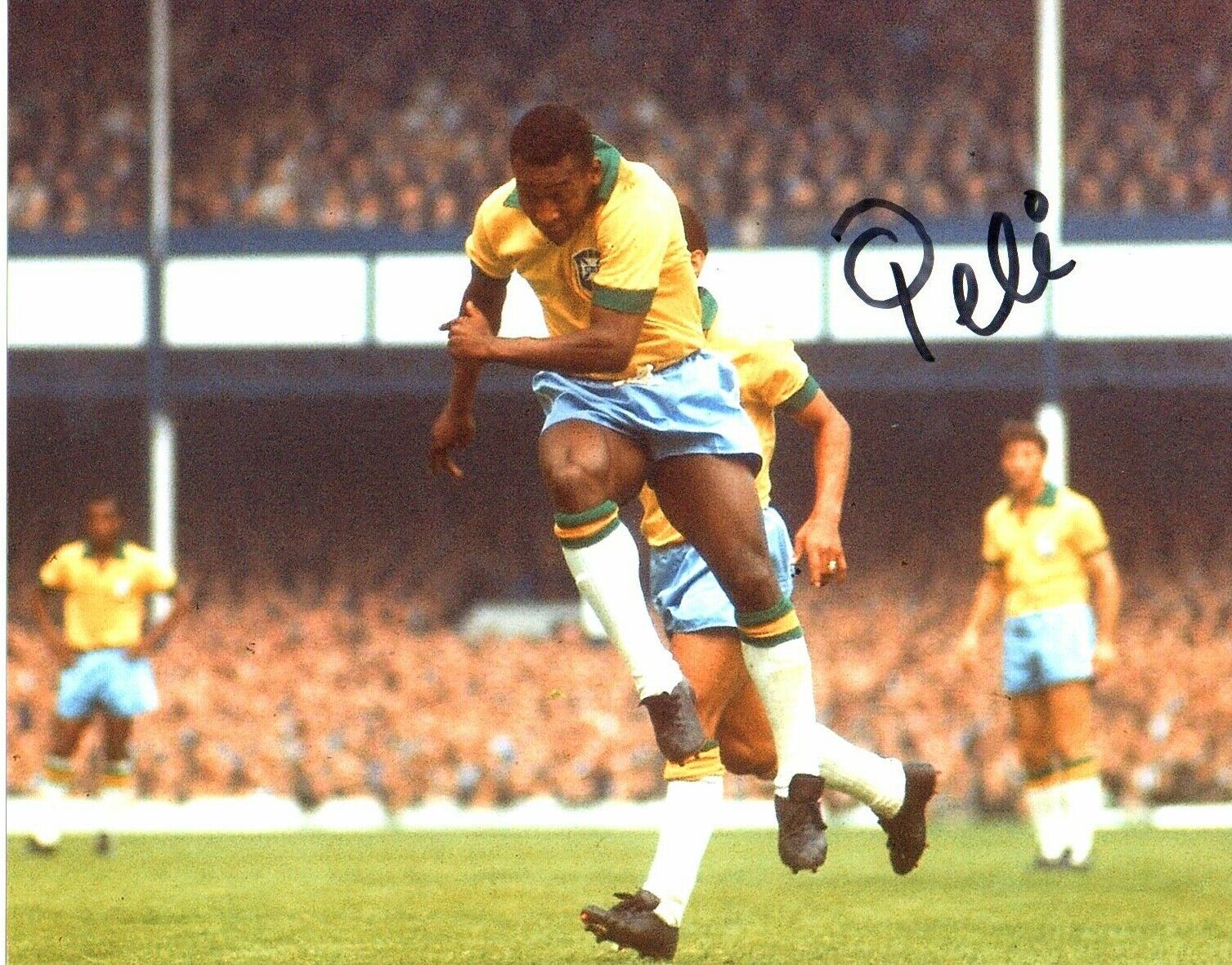 Pele Brazil Football Legend Signed 10x 8 Photo Poster painting