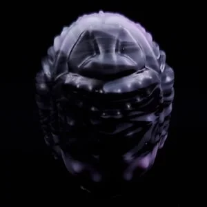 pornhint Pornhint Small Scarab Egg - Kegel Egg