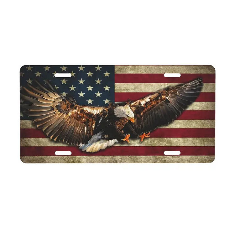 Les États-Unis - Encens de plaque de voiture vintage - 6x12inch