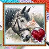 Cat Horse-Partial 11CT Stamped Cross Stitch Bead Embroidery 36*36cm/14.17*14.17in tapestrymarket