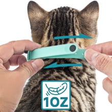 Hands-free