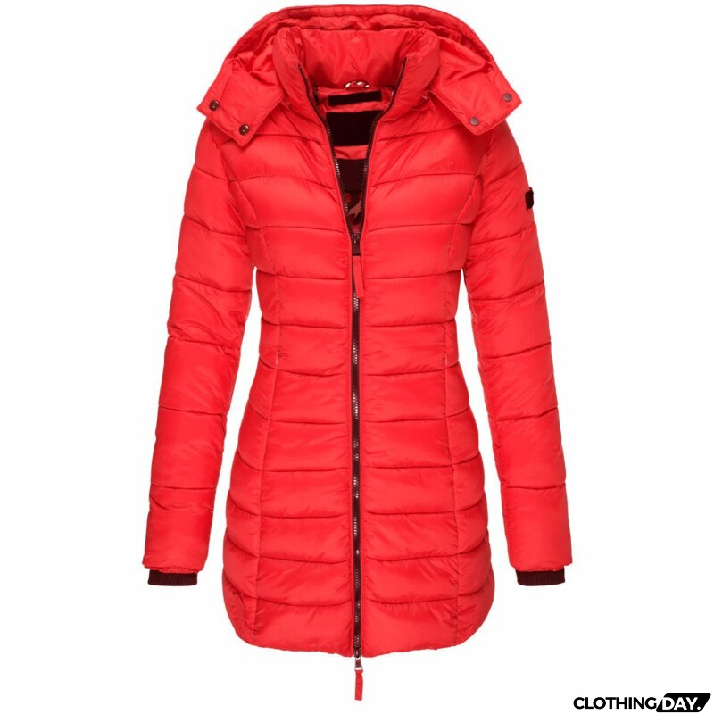 Timeless and Stylish Jacket