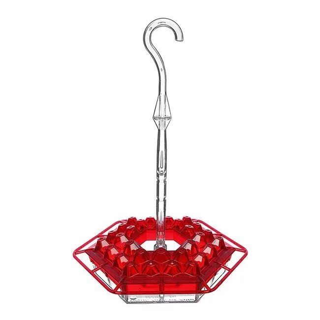  Sweety Hummingbird Feeder