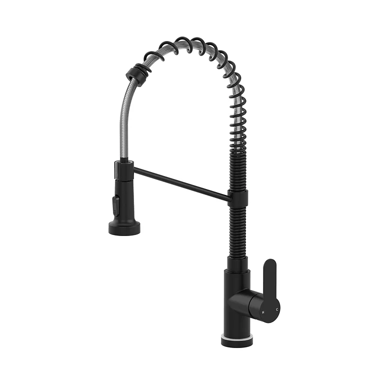 LED Stainless Steel Single Handle Pull Down Kitchen Faucet with Spring Neck SFS-1091-BK
