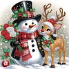 Diamond Painting - Partial Special Shaped Drill - Winter Snowman(Canvas|30*30cm)