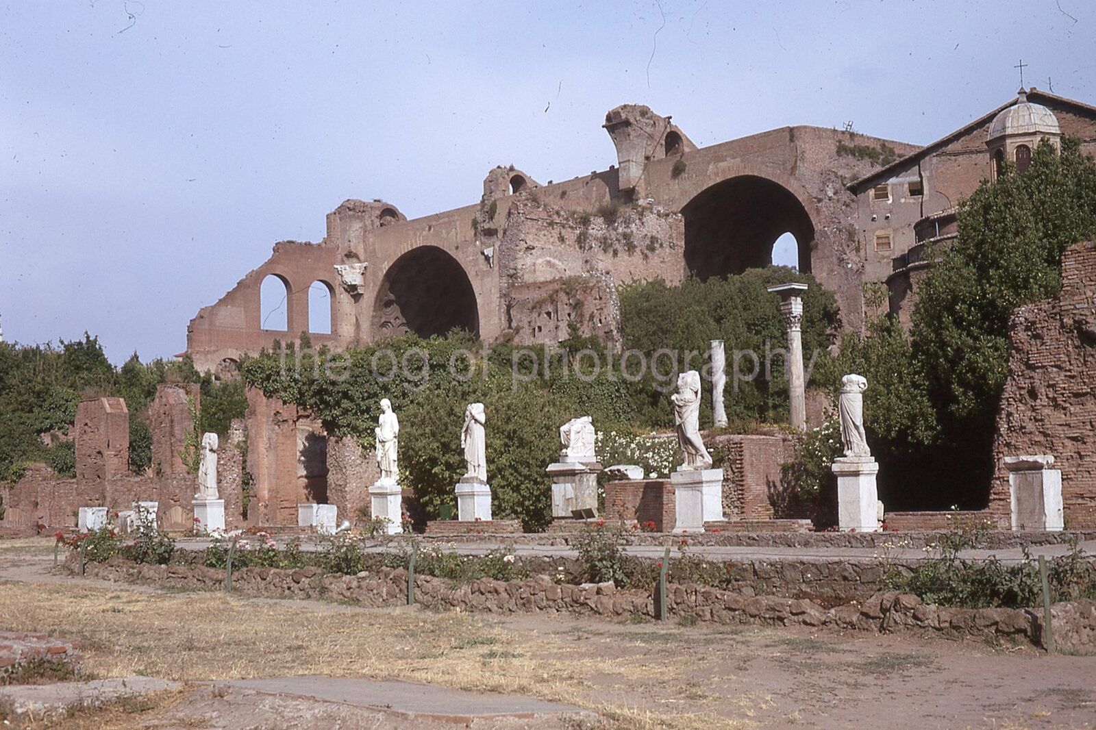 STATUES OF VESTAL VIRGINS Vintage 35mm FOUND SLIDE Transparency Photo Poster painting 010 T 20 Q