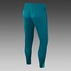 Joyfball 2024/2025 Portugal Half-Pull Training Suit Royal Green Football Shirt