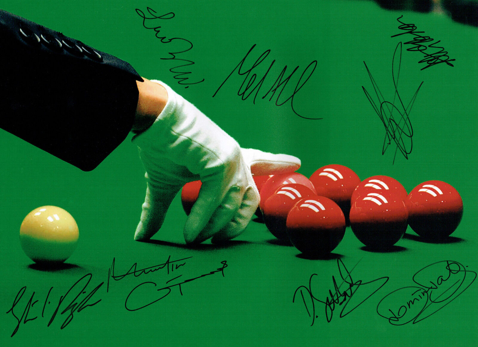 Multi Signed Autograph 16x12 SNOOKER Crucible Photo Poster painting AFTAL COA Robertson Ebdon