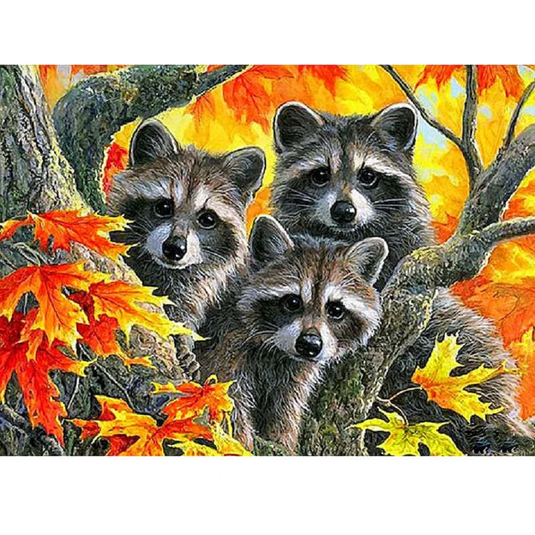 Raccoon 40*30CM (Canvas) Full Square Drill Diamond Painting gbfke