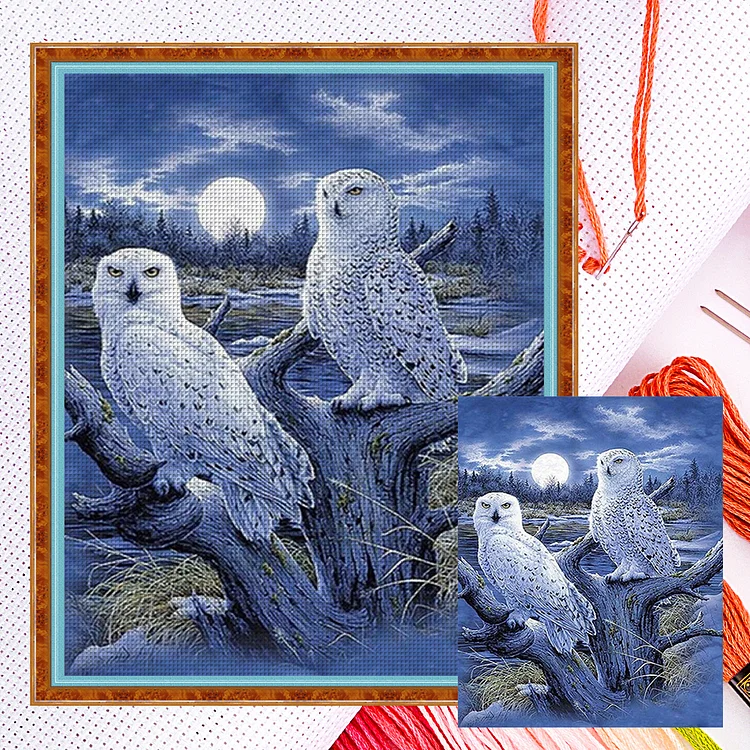 Two Owls On A Branch (40*50cm) 14CT Counted Cross Stitch gbfke