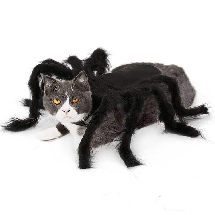 Halloween Pet Spider Clothes