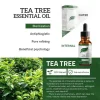 10ml Tea Tree Oil Moisturizer Face Body Skin Care Oil Control Fragrance Aromatherapy Pure Massage Essential Oil