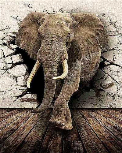 

Elephant Breaking the wall – Paint By Numbers - 40*50CM, 501 Original