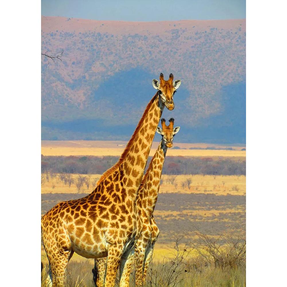 

Two Giraffes-Round Drill Diamond Painting-30*40CM, 501 Original