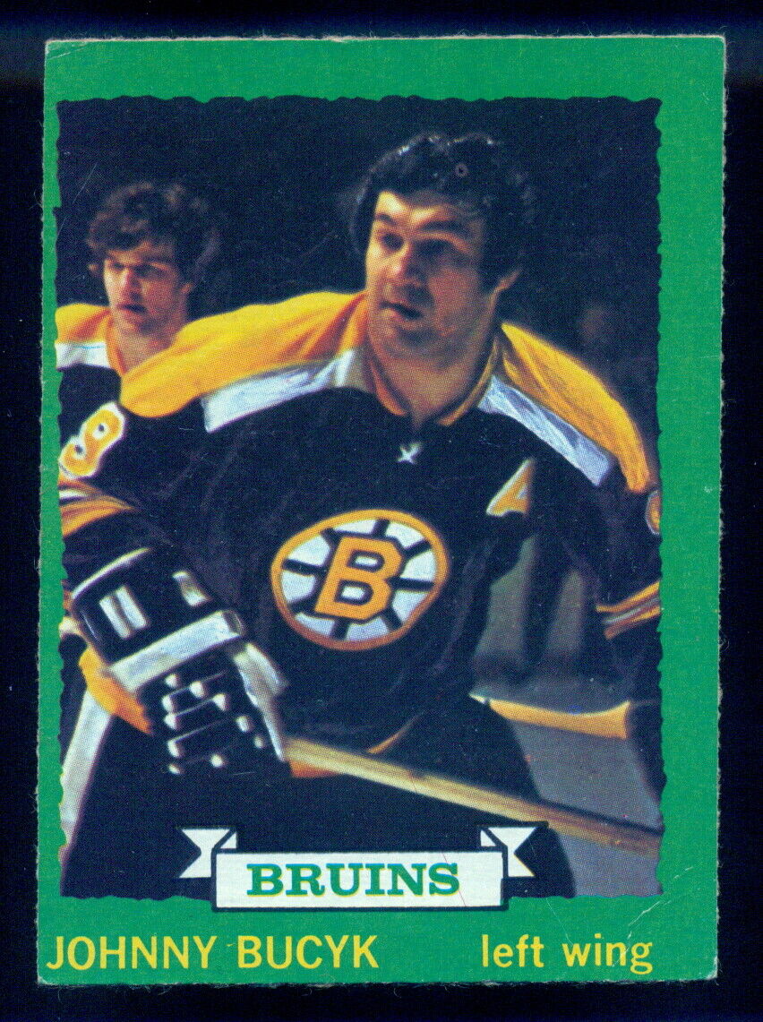 1973-74 OPC O PEE CHEE #147 Johnny Bucyk EX-NM Booby orr in pic BRUINS Dark Back